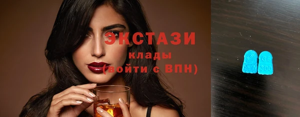 крисы Краснослободск