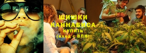 крисы Краснослободск
